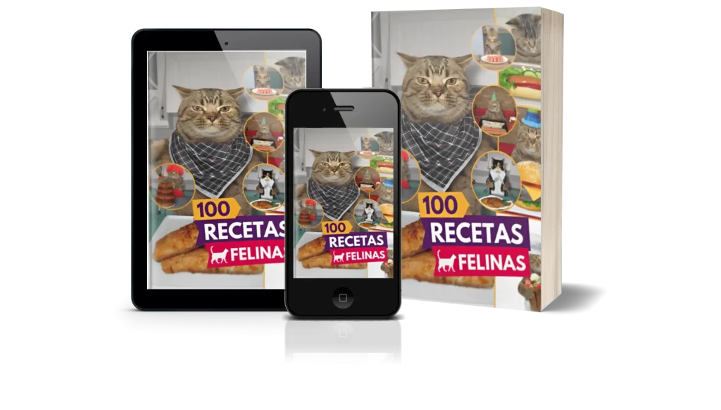 mockups-100-recetas-felinas