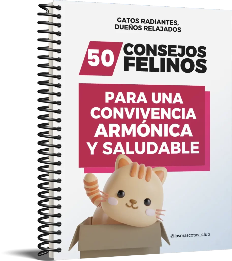 Imagen del Ebook