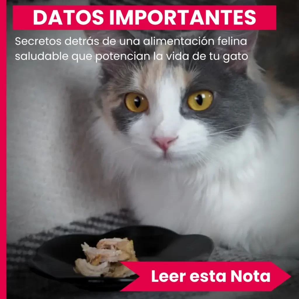 DATOS-1