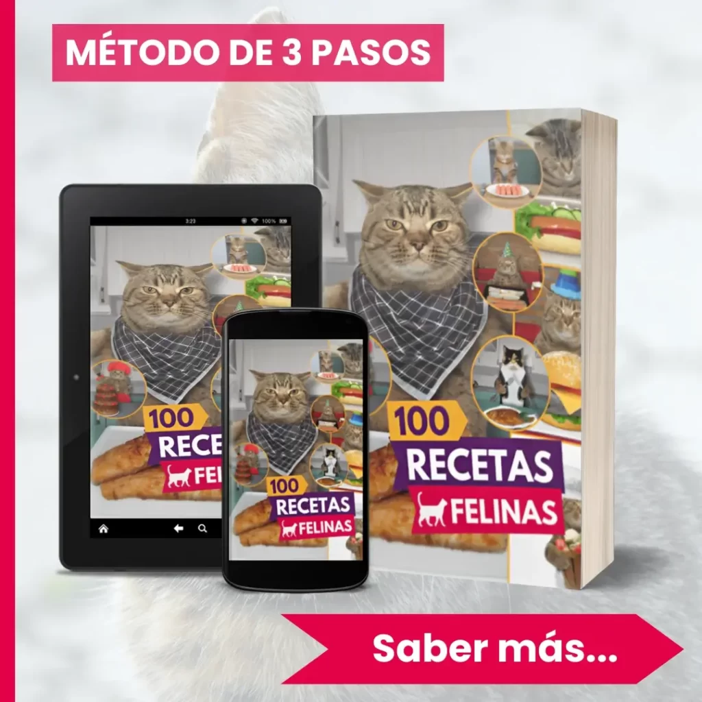 METODO-3-PASOS-V2-1