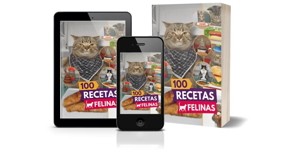mockups-100-recetas-felinas-1