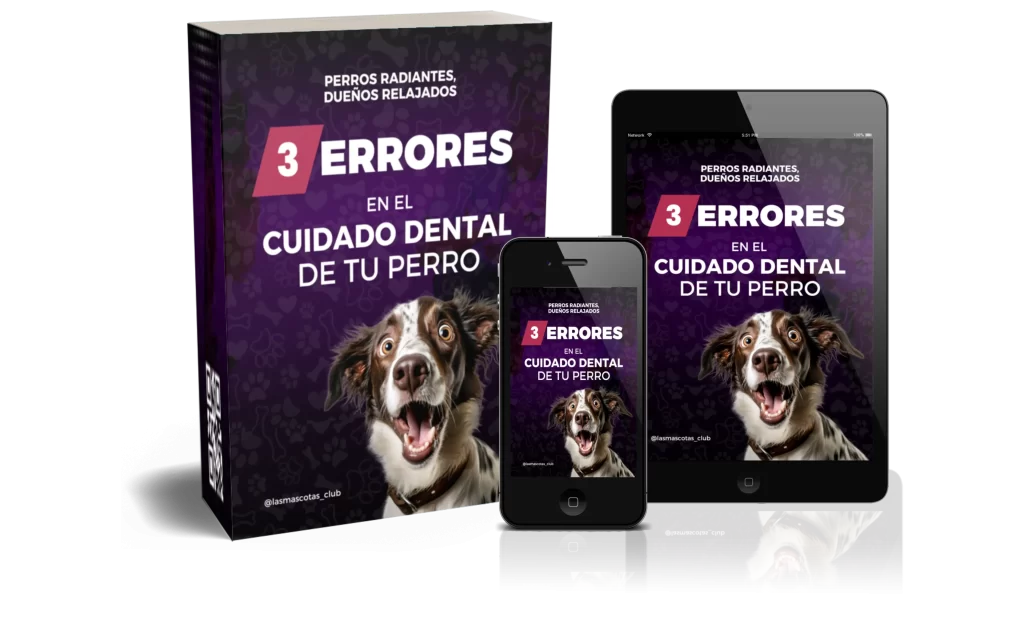 mockups_3_errores_dentales_caninos