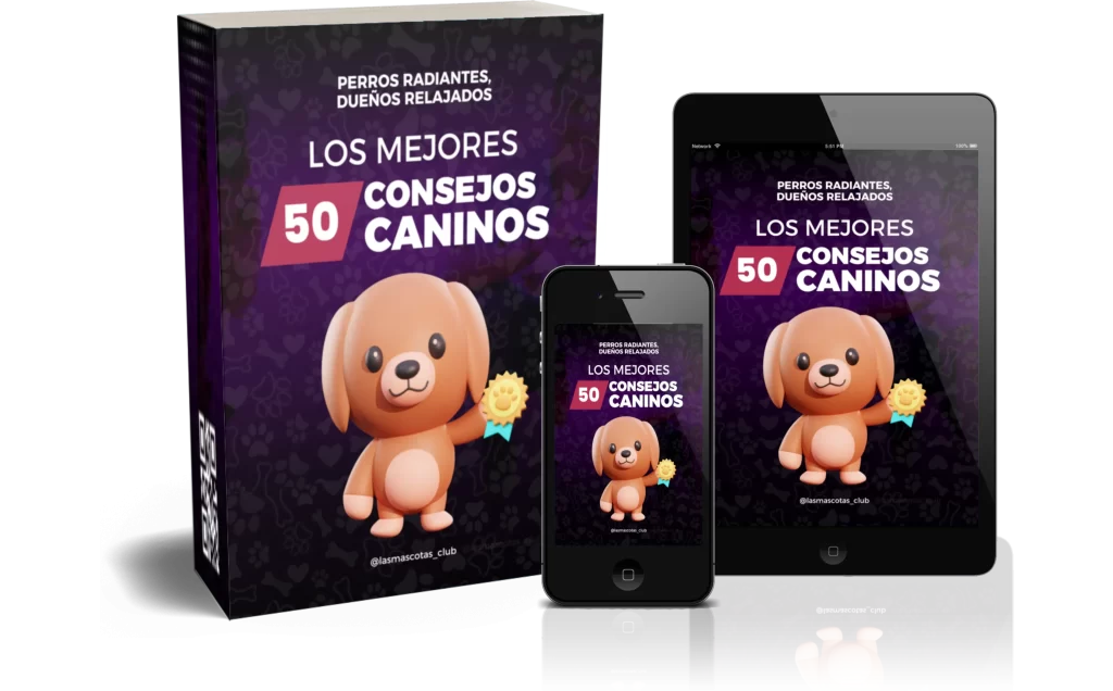 mockups_50_consejos_caninos